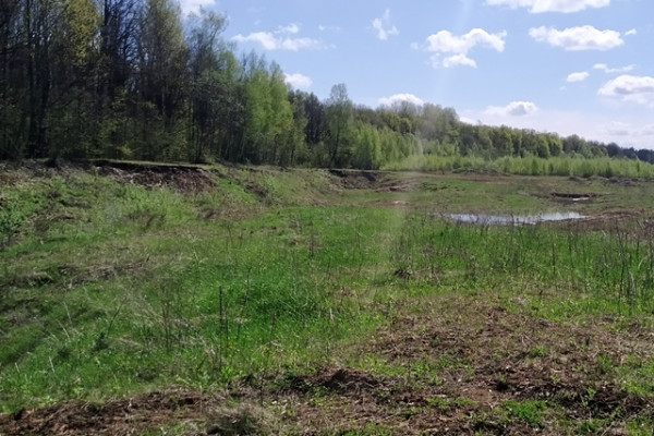 В Смоленской области более 600 гектаров изъятых земель ввели в сельхозоборот