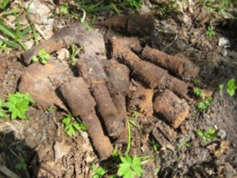 В Смоленской области нашли ручные гранаты времен войны