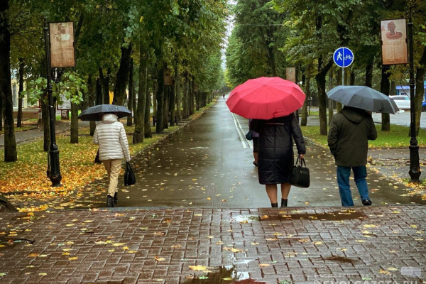 7 ноября в Смоленской области ожидаются дождь и порывистый ветер