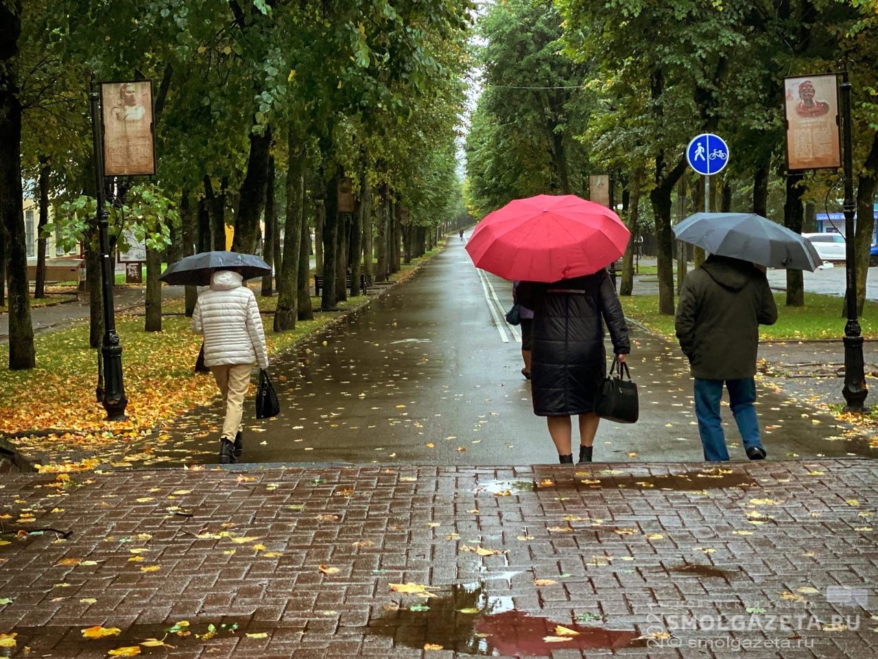 7 ноября в Смоленской области ожидаются дождь и порывистый ветер
