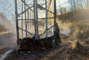 В Смоленской области у фуры на ходу загорелся прицеп