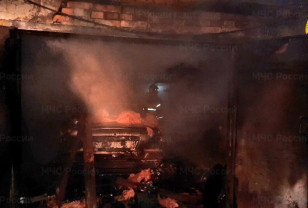 В Вязьме загорелся гараж с автомобилем «Daewoo Nexia»
