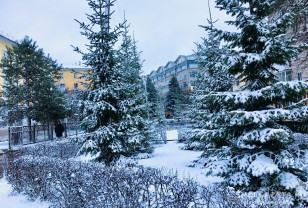 20 ноября в Смоленской области ожидаются дождь, мокрый снег и порывистый ветер