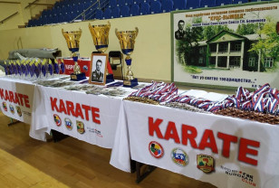 В Смоленске во Дворце спорта «Юбилейный» прошел турнир по каратэ