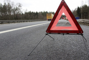 На трассе М-1 в Смоленской области погиб пешеход