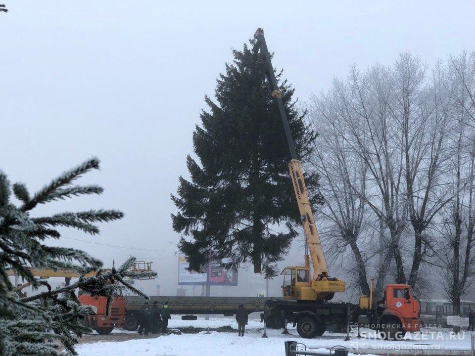 Стало известно, где в Смоленске установят новогодние елки