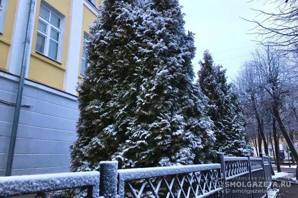 8 декабря в Смоленской области усилятся морозы