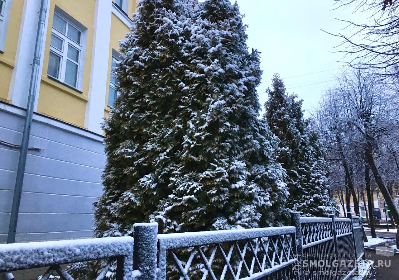 8 декабря в Смоленской области усилятся морозы