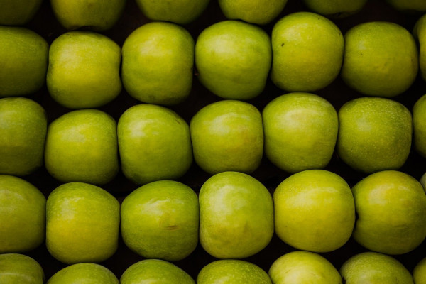 В Смоленской области утилизировали 18 тонн яблок неизвестного происхождения