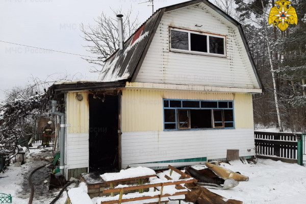Стали известны подробности пожара в садовом товариществе в Десногорске