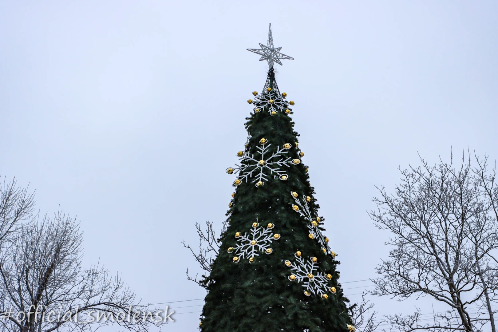 В Смоленске нарядили главную новогоднюю городскую ёлку