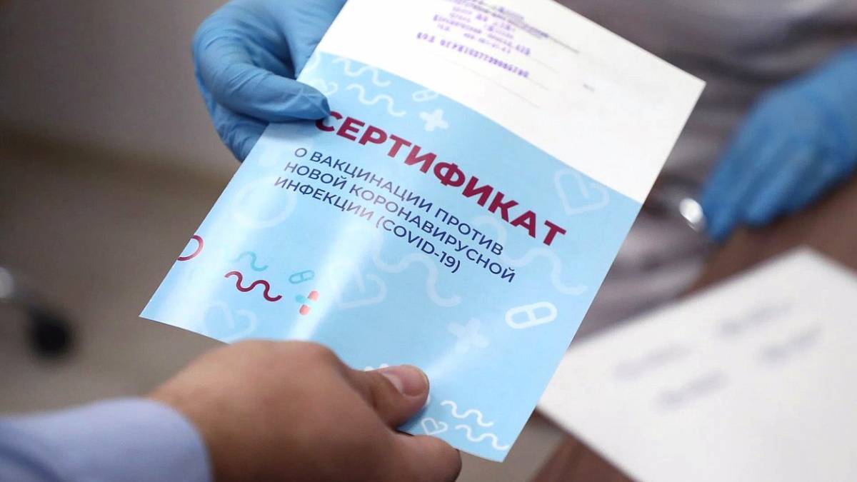 «Единая Россия» защищает интересы людей при принятии законопроекта о медицинских сертификатах