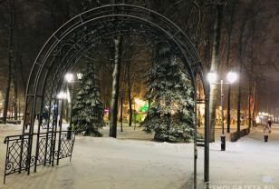 Снег и гололедица ожидаются в Смоленской области 25 декабря