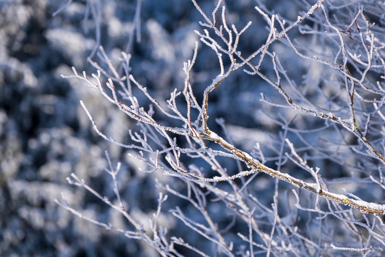 Снег и порывистый ветер ожидаются в Смоленской области 26 декабря