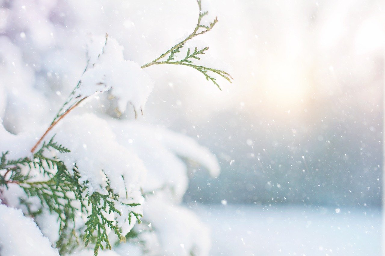 28 декабря в Смоленской области местами пройдет небольшой снег