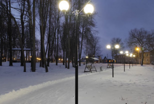 После обращения на прямую линию с губернатором в Ельне восстановили освещение в парке 