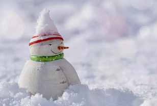 Снег и порывистый ветер ожидаются в Смоленской области 5 января