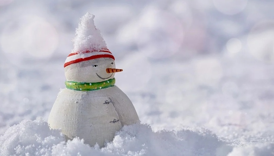 Снег и порывистый ветер ожидаются в Смоленской области 5 января