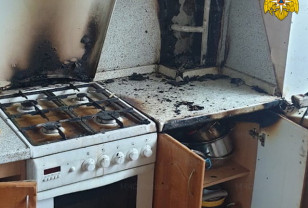 Смоленские пожарные спасли из горящей квартиры двух котиков