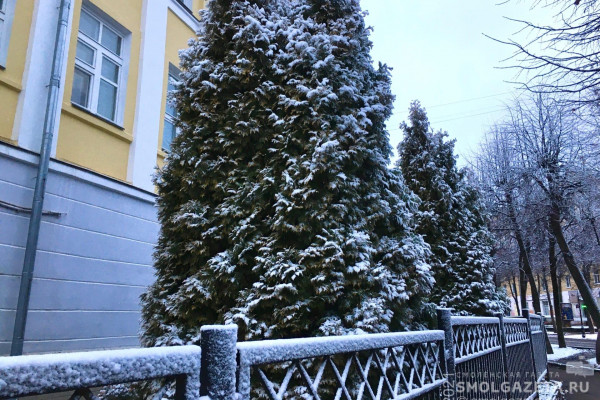 9 января в Смоленской области будет снежно и морозно