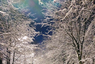 12 января в Смоленской области морозы станут крепче
