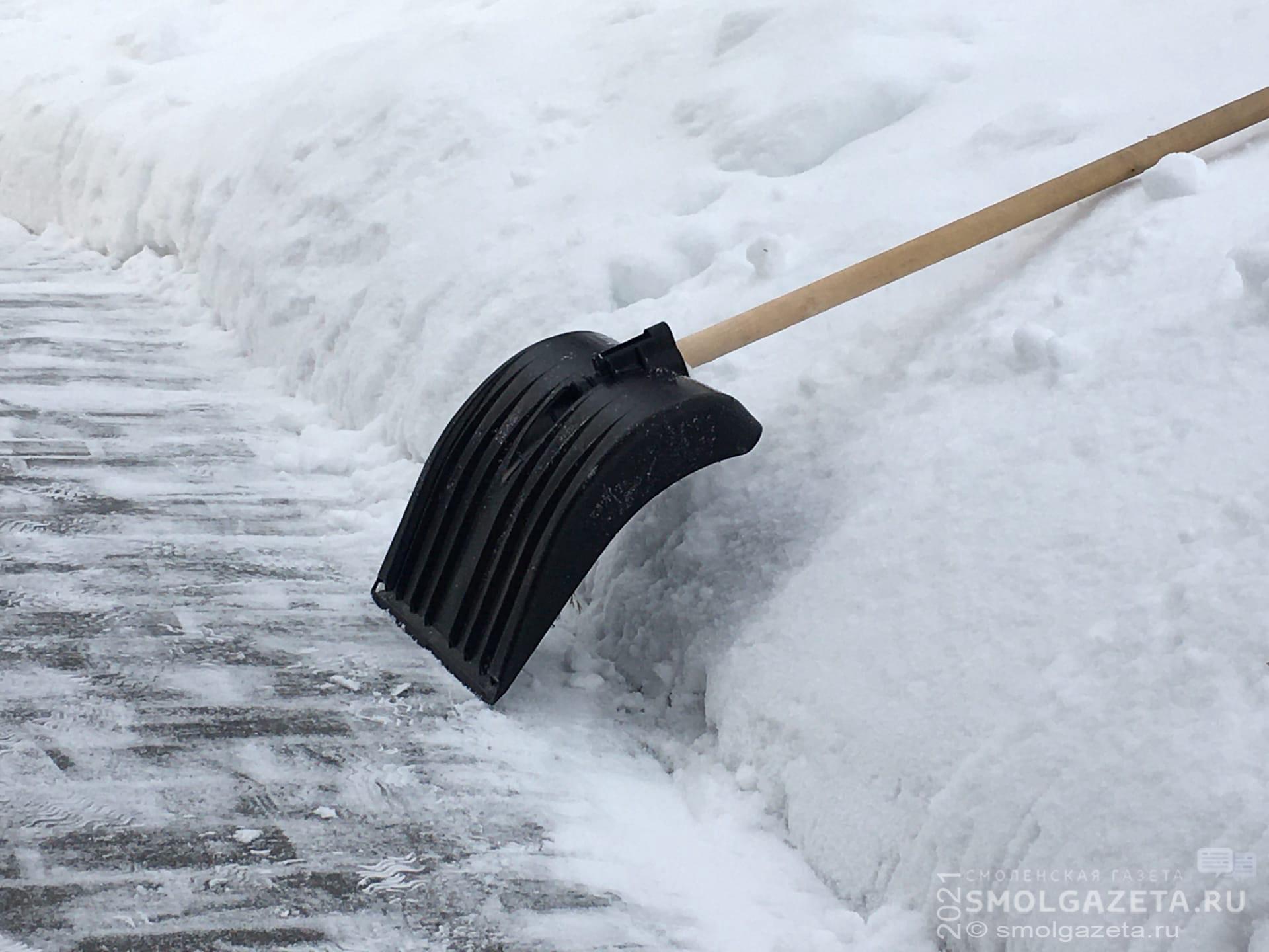 В Смоленске организуют субботники по уборке снега