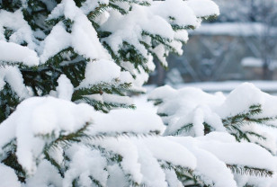Снегопад, метель и сильный ветер ожидаются в Смоленской области 18 января