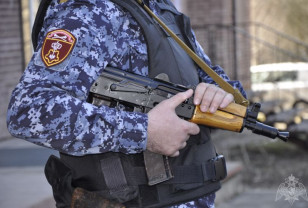 В Смоленской области за выходные дни росгвардейцы пресекли несколько краж