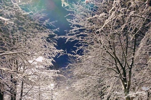19 января в Смоленской области пройдёт небольшой снег
