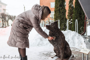 В Смоленске необычным способом собирают средства для собачьего приюта