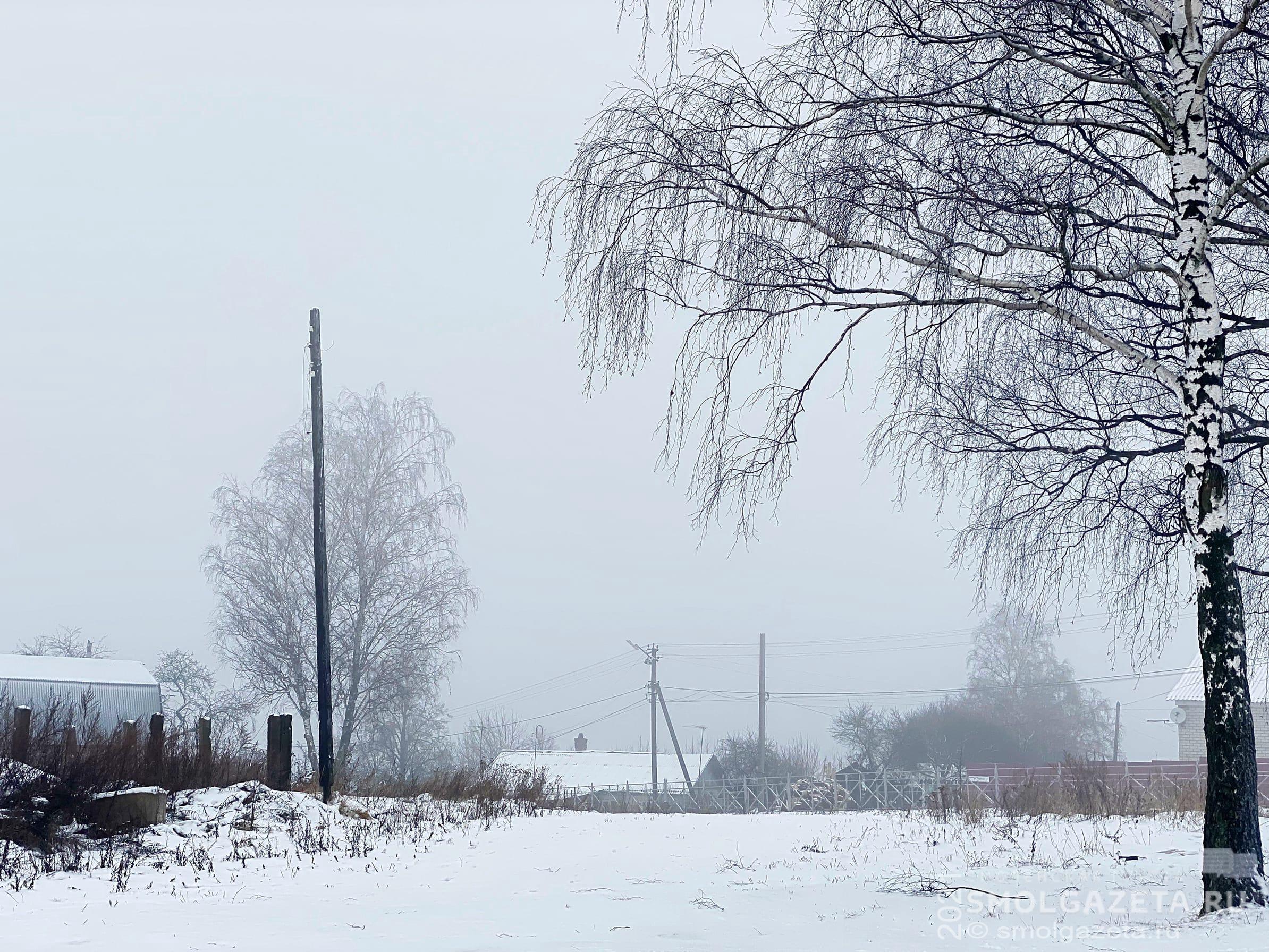 Мокрый снег и гололедица ожидаются в Смоленской области 28 января