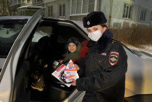 В Смоленске госавтоинспекторы провели профилактическую акцию «Патруль безопасности»