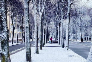 Небольшой снег пройдет в Смоленской области 29 января