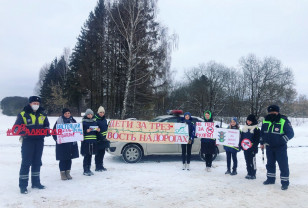 В Смоленской области провели акцию «Дети – за трезвость на дорогах»