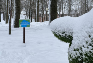 В Смоленске в Лопатинском саду заменили «угрожающие» надписи у топиарий