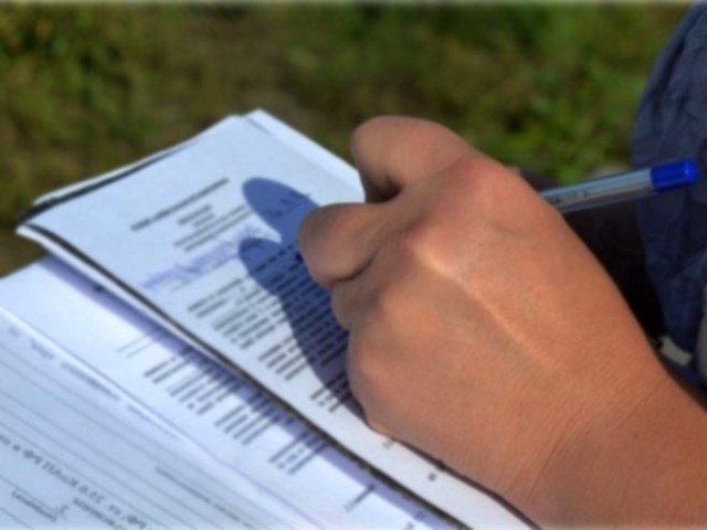 В Смоленской области провели 282 проверки соблюдения требований земельного законодательства