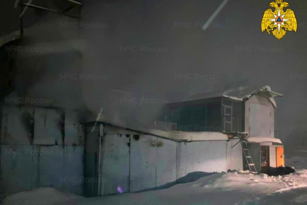 В Сафонове в результате пожара в гараже погибли голуби