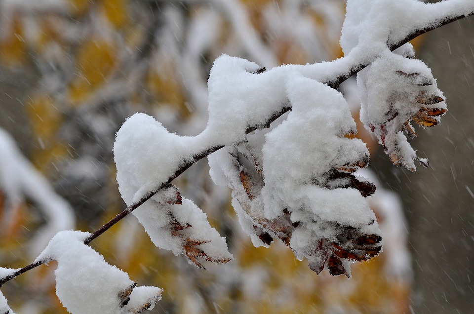 7 февраля на Смоленщине прогнозируют снег с дождём