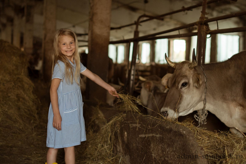 Трое юных смолян стали победителями конкурса фотографий «Питомцы в моём городе»
