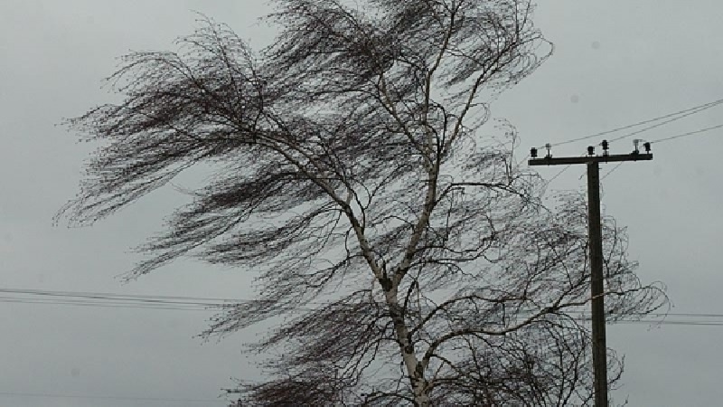 В Смоленской области 19 февраля ожидается шквалистый ветер