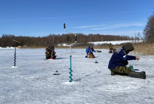 В Смоленской области прошли соревнования по подледной рыбалке