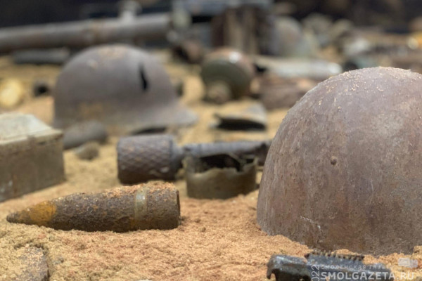 В Смоленской области нашли 43 боеприпаса времен Великой Отечественной войны