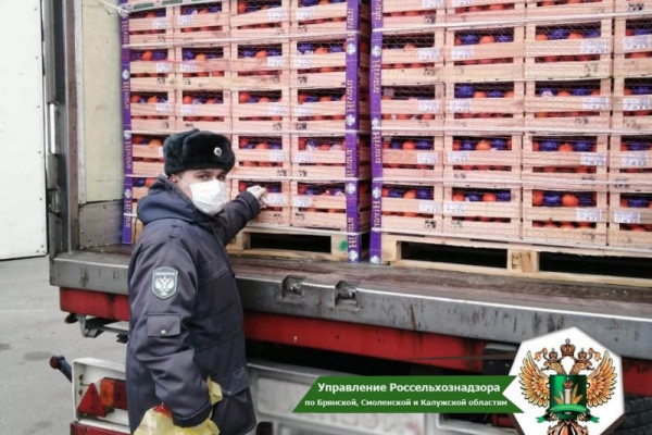 На Смоленщине Управление Россельхознадзора проконтролировало более 28000 тонн импортной продукции