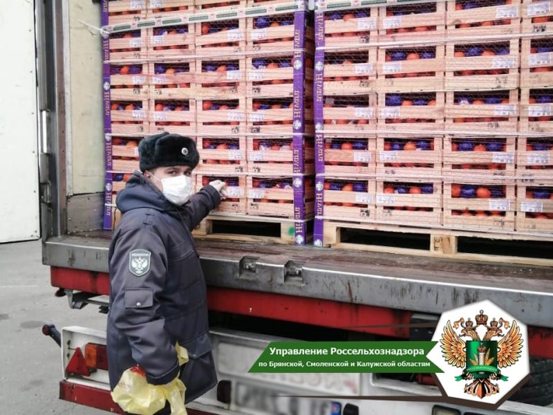 На Смоленщине Управление Россельхознадзора проконтролировало более 28000 тонн импортной продукции
