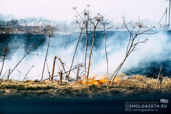 12 палов сухой травы зафиксировали в Смоленской области 