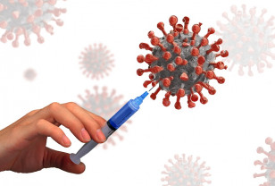 Первым компонентом вакцины от коронавируса привились более 496 тысяч смолян