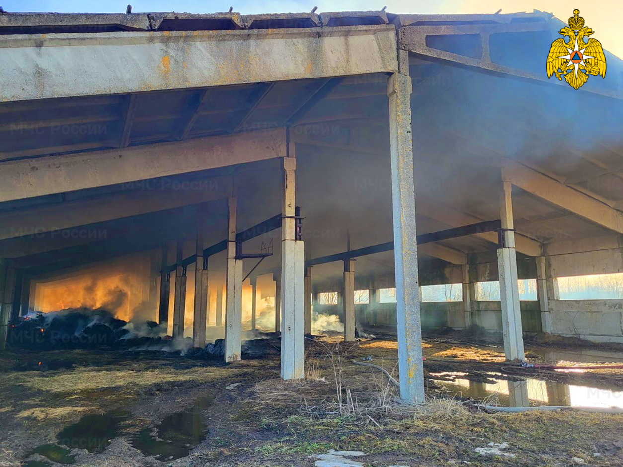 130 рулонов сена сгорело в Кардымовском районе 