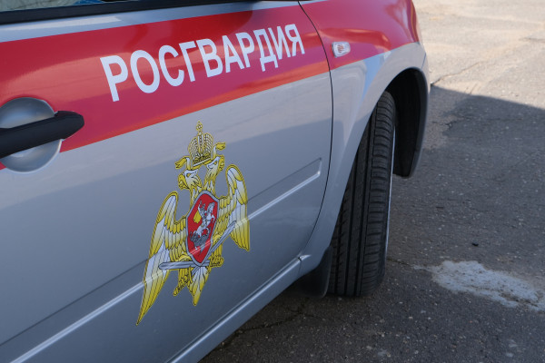В Смоленской области росгвардейцы задержали подозреваемых в краже  железнодорожных рельсов