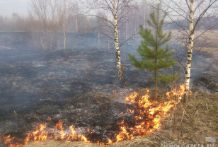 715 палов сухой травы зарегистрировали в Смоленской области с начала года
