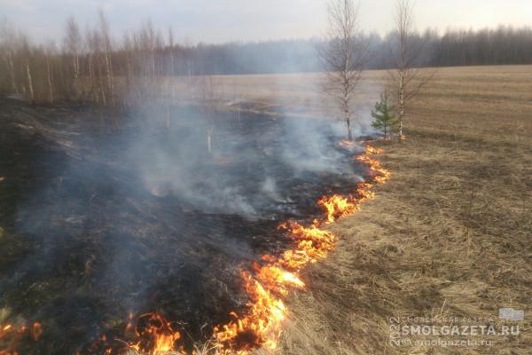 40 административных протоколов за палы травы составили смоленские пожарные